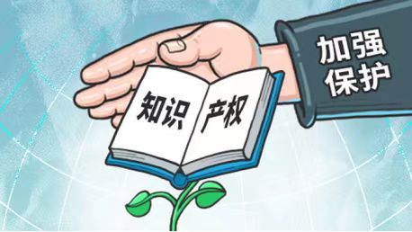 知识产权
